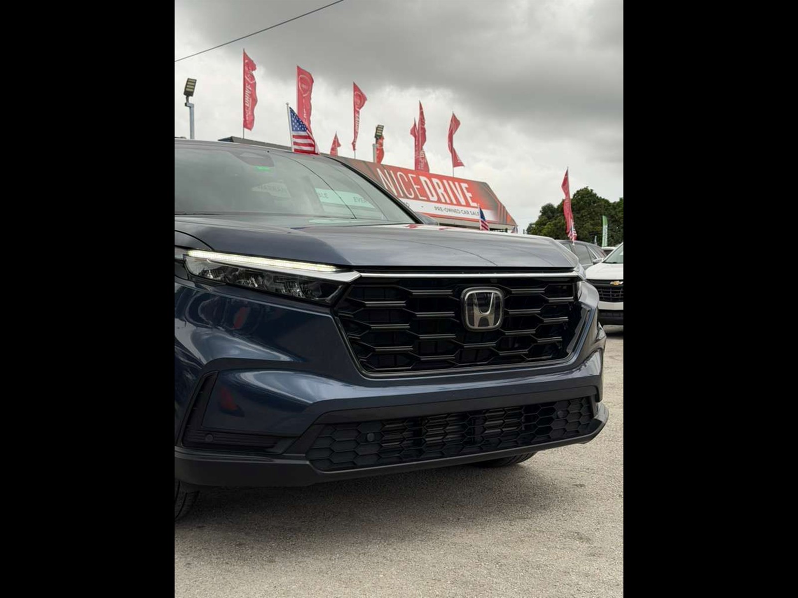 2023 HONDA CR-V in Miami, FL