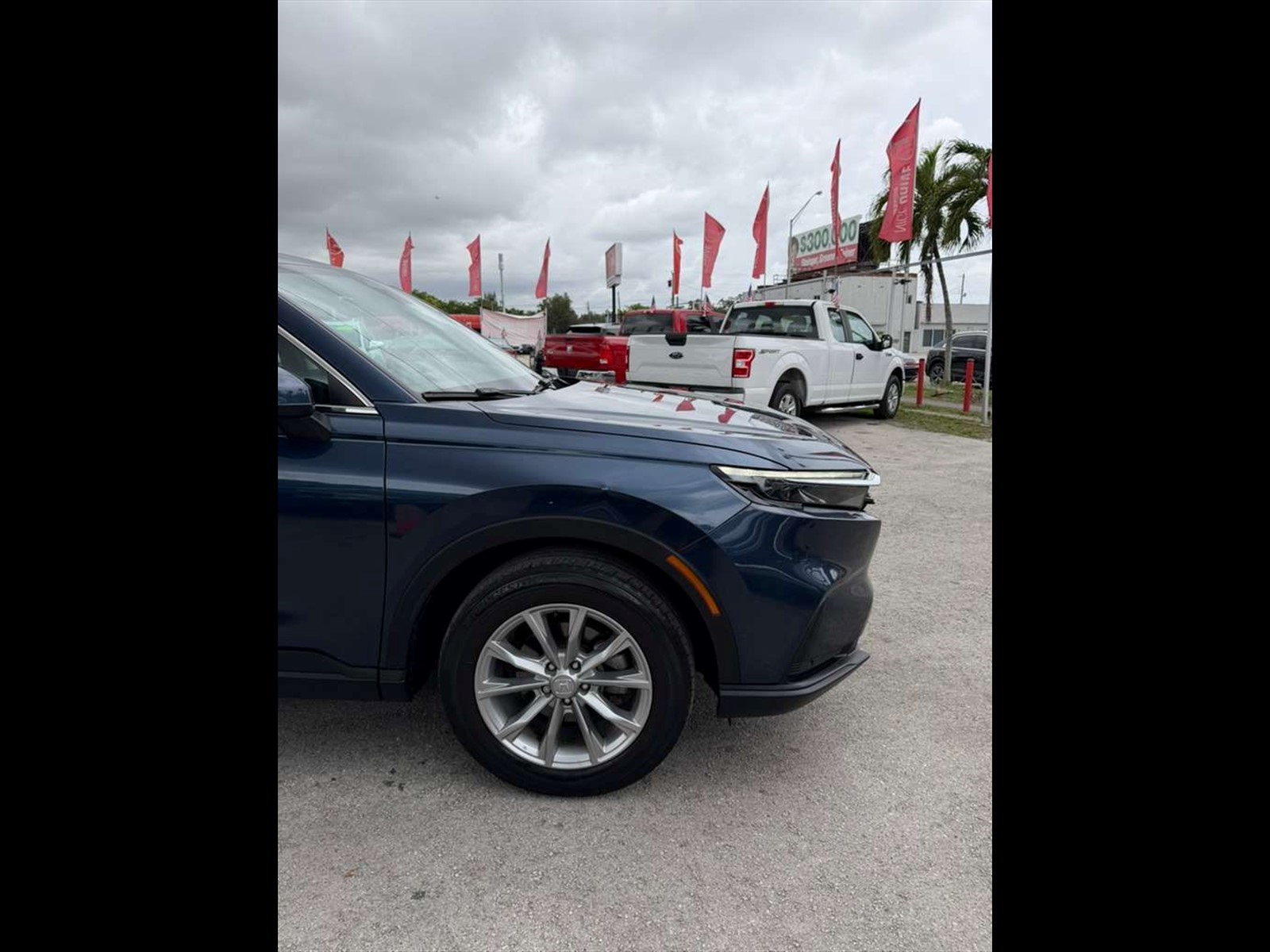 2023 HONDA CR-V in Miami, FL