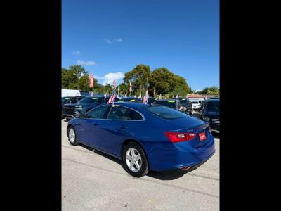 2023 CHEVROLET Malibu in Miami, FL