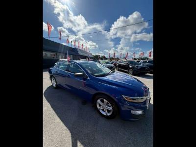 2023 CHEVROLET Malibu in Miami, FL