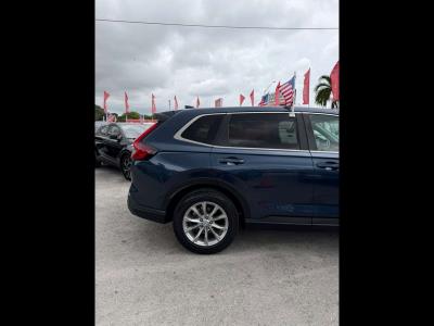 2023 HONDA CR-V in Miami, FL