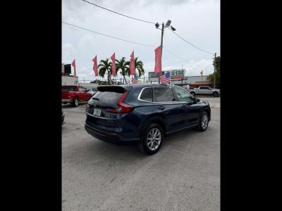 2023 HONDA CR-V in Miami, FL