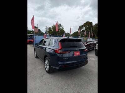2023 HONDA CR-V in Miami, FL