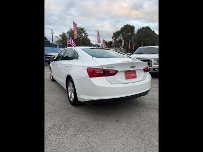 2024 CHEVROLET Malibu in Miami, FL