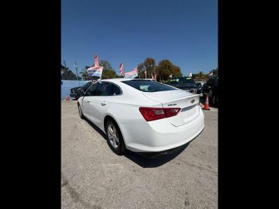 2024 CHEVROLET Malibu in Miami, FL