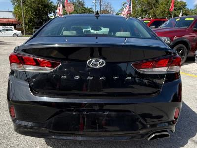 2019 HYUNDAI Sonata in Miami, FL