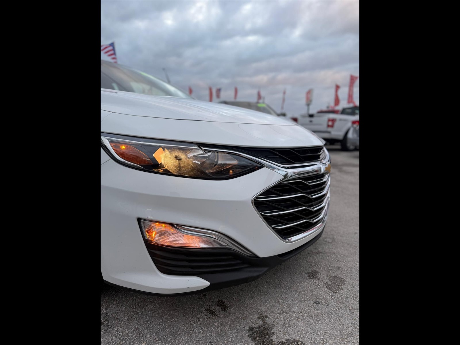 2024 CHEVROLET Malibu in Miami, FL