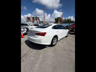 2024 CHEVROLET Malibu in Miami, FL
