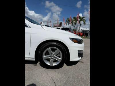 2024 CHEVROLET Malibu in Miami, FL